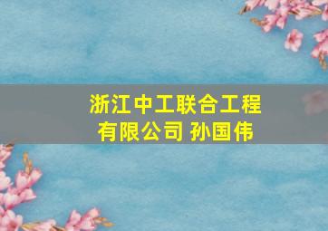 浙江中工联合工程有限公司 孙国伟